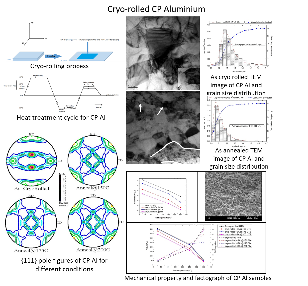 Cryo-rolling of CP-Al